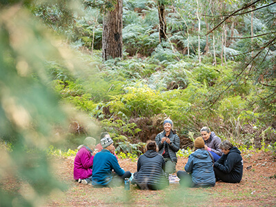 Group of people sitting in a circle while forest bathing in Belair National Park